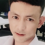 PHONG Picoin profile picture