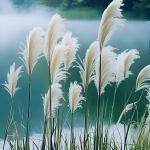 叁点壹刻 李