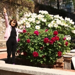 心花怒放 范