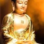 Những mãnh đời bất hạnh.