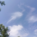15808655874