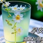 海英 朱
