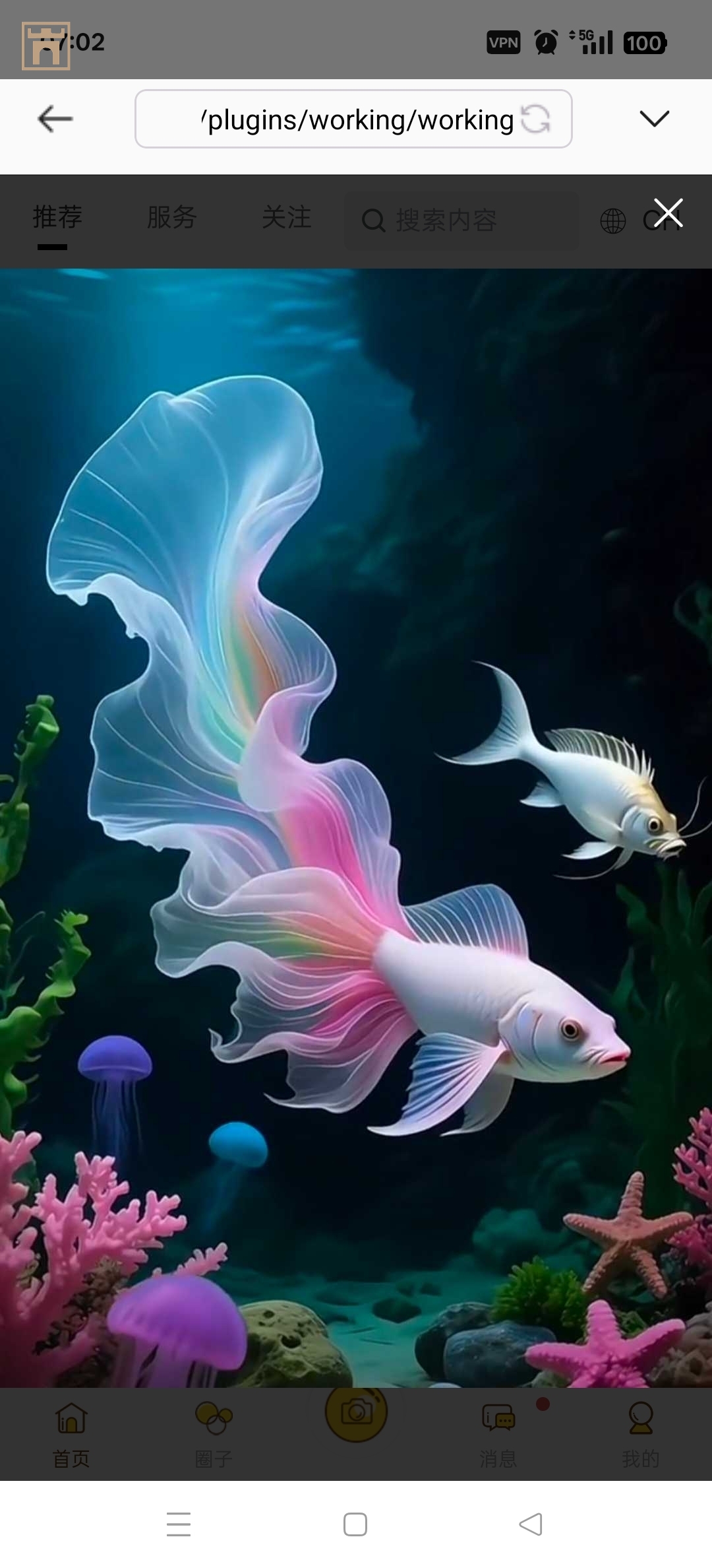 image