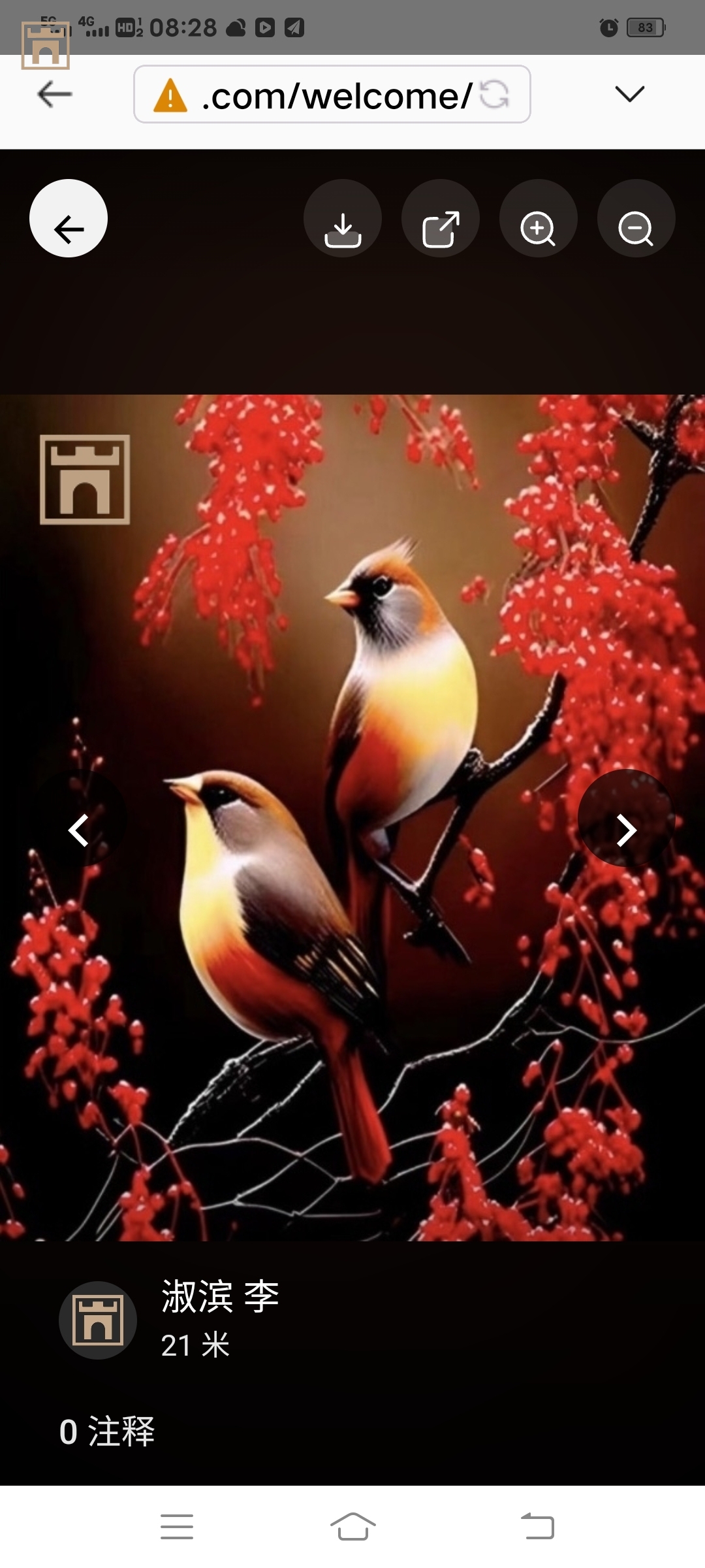 image