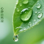 丽 cai