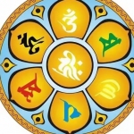 oyl0443